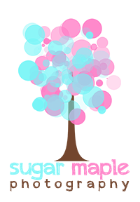 Sugar Maple Photography